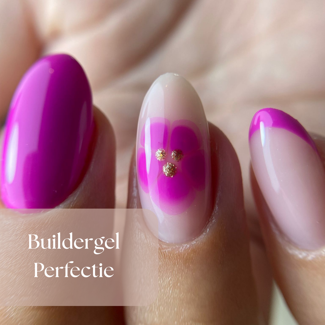 ZN Buildergel Perfectie - 1 Daagse Training
