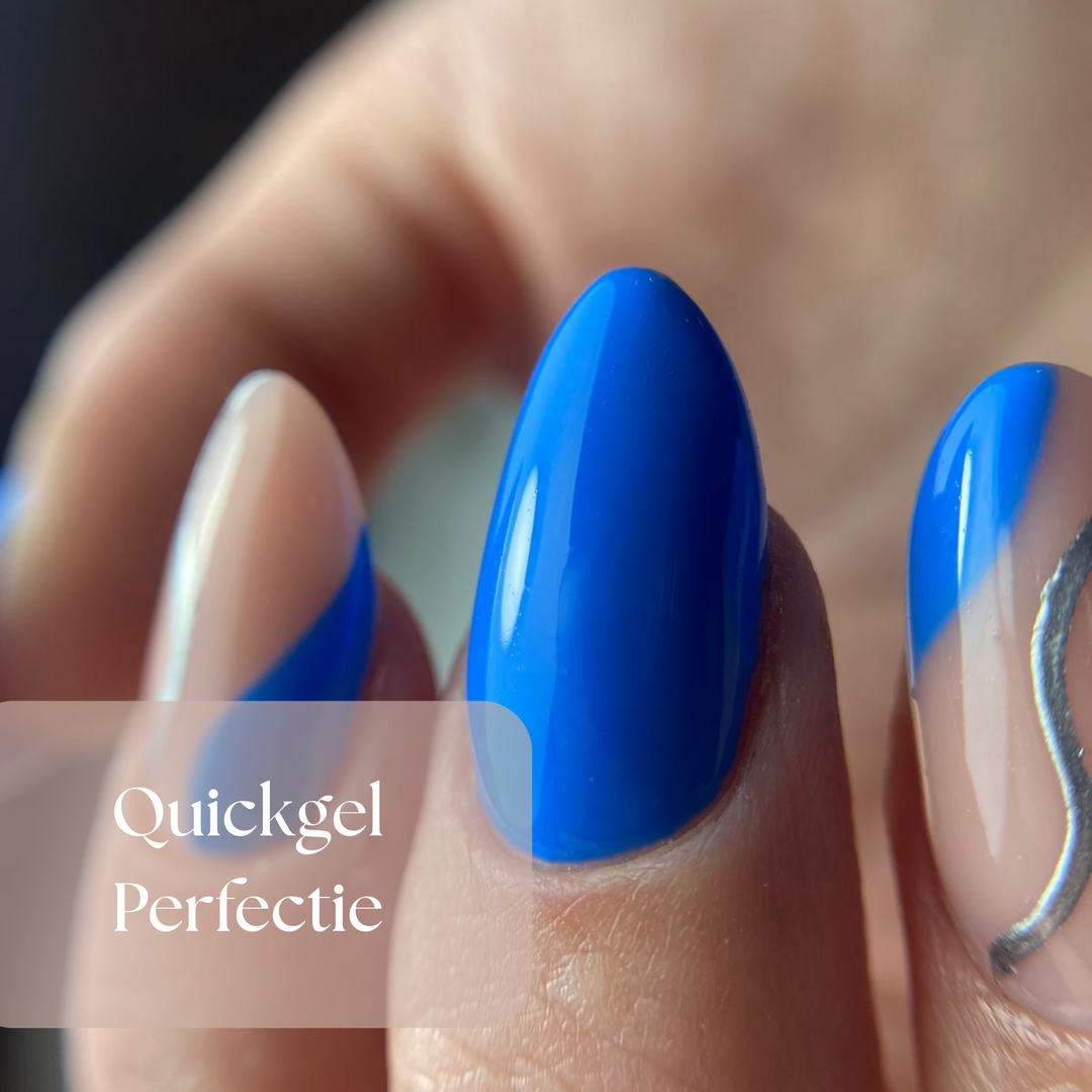 ZN Quickgel Perfectie - 1 Daagse Training