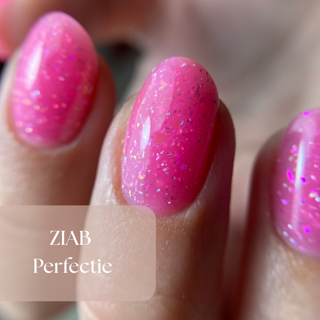 ZN ZIAB Perfectie - 1 Daagse Training