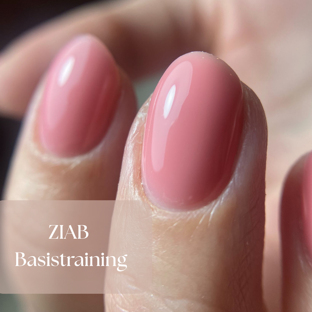 ZN ZIAB Basis - 2 Daagse Training