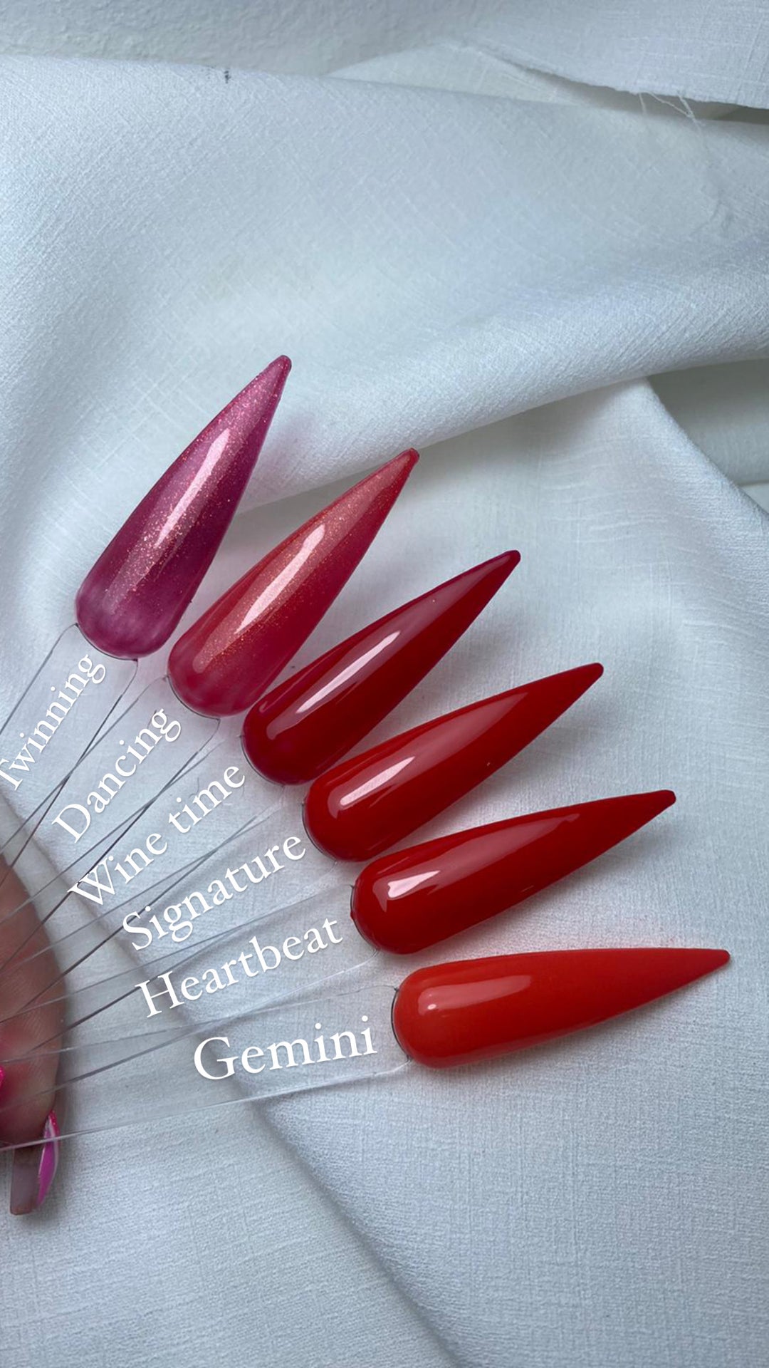 ZN Gel Polish 15ML - Signature